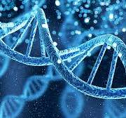 Y-DNA and the Devil